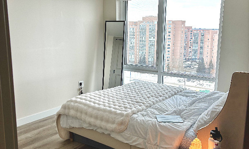 1 Bed 1 Bath Lease T...