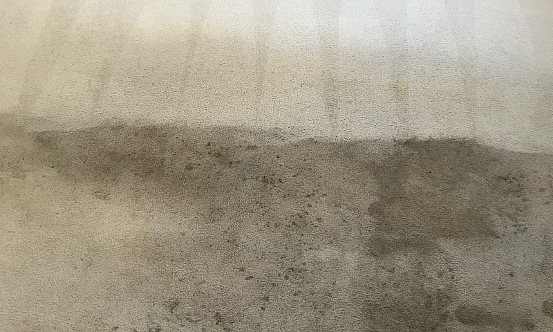 Carpet And Upholster...