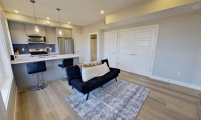 Modern One-Bedroom T...