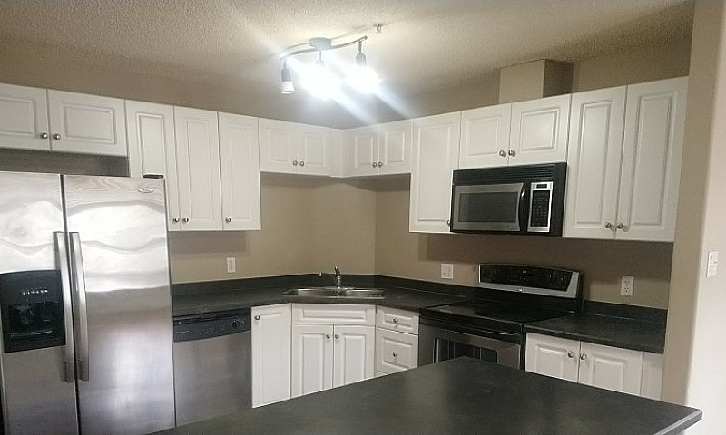 Apartment For Rent...