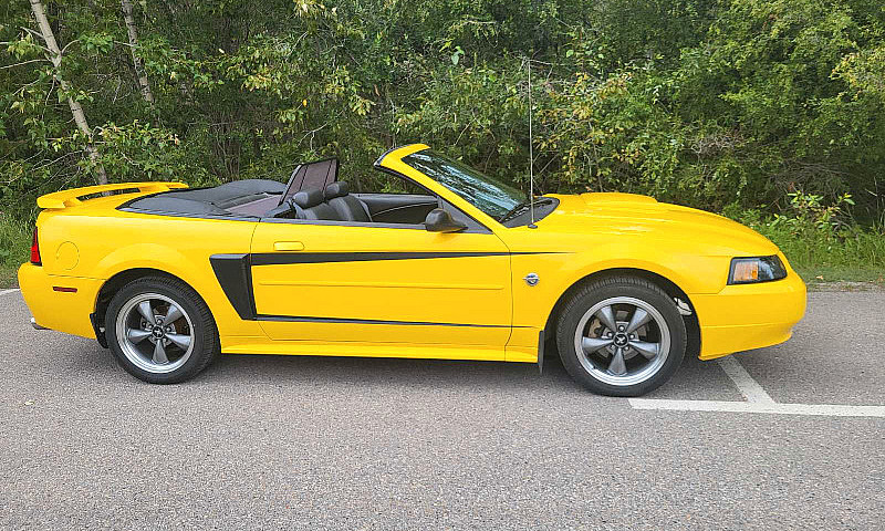 2004 Mustang Gt Conv...