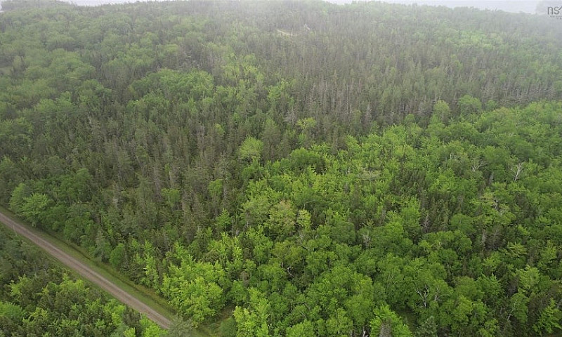 3 Acres With Deeded ...