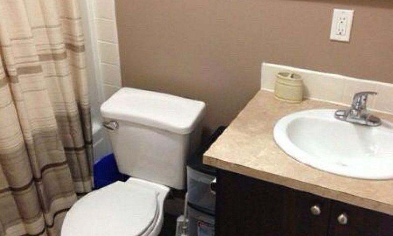 Furnished 1-Bed Bsmt...