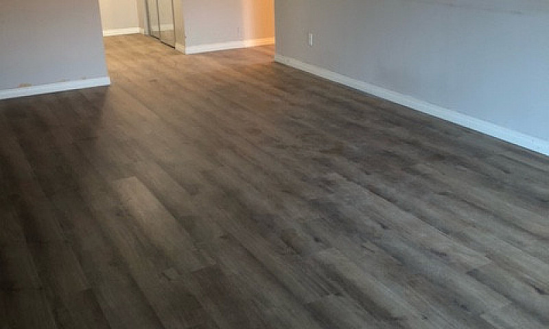 Recently Renovated C...