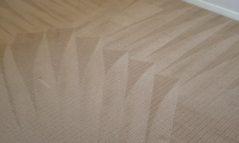 Carpet And Upholster...