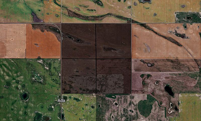 Section Of Pasture I...