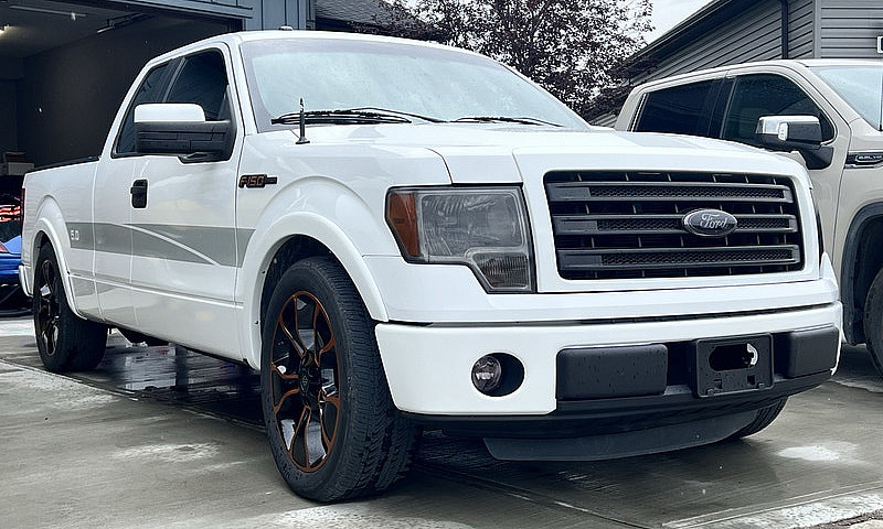 5.0 Coyote F-150 Str...