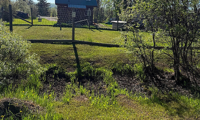 Tiny House Real Log ...