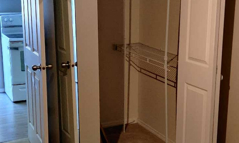 Basement Suite/Studi...
