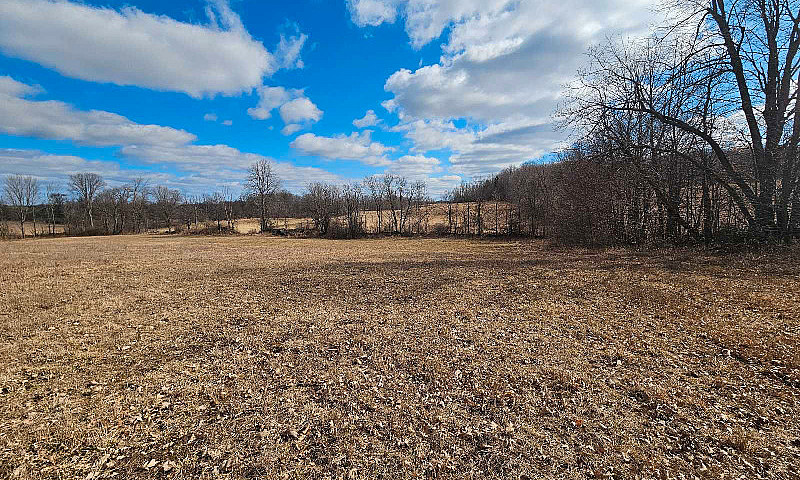 19.5 Acres Available...