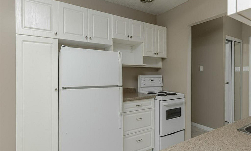 1 Bedroom- 1 Bathroo...
