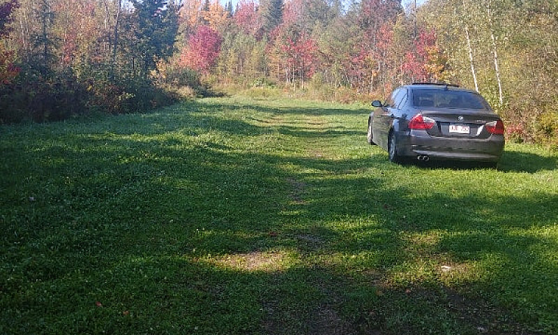 Land For Sale - Fred...