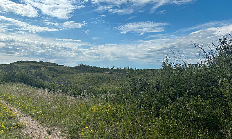 320 Acres Of Untouch...