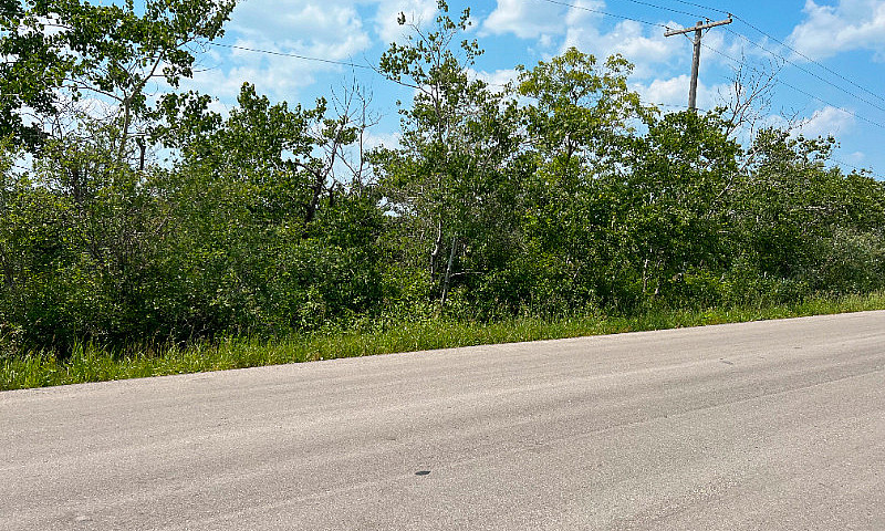 For Sale 5 Acre Lot ...
