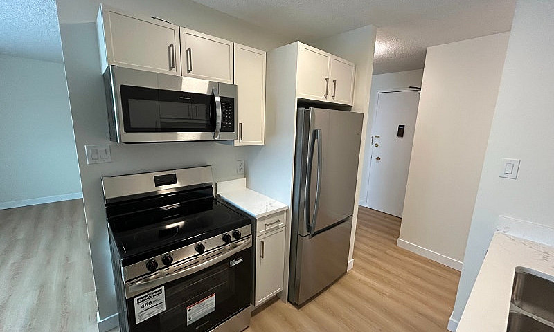 Newly Renovated 1 Be...