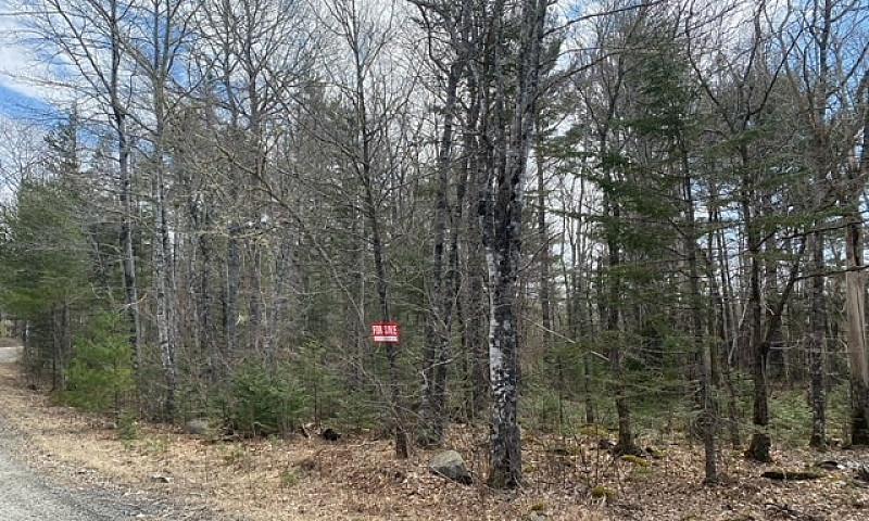 1.2 Acre Lot Molega ...