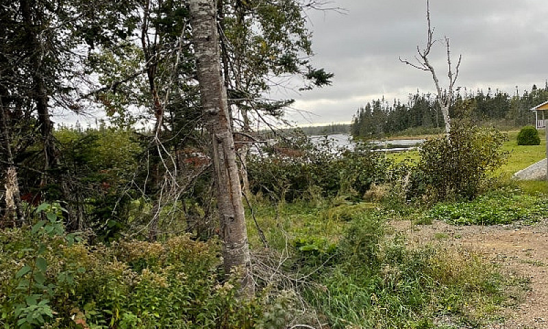 Pond Side Property F...