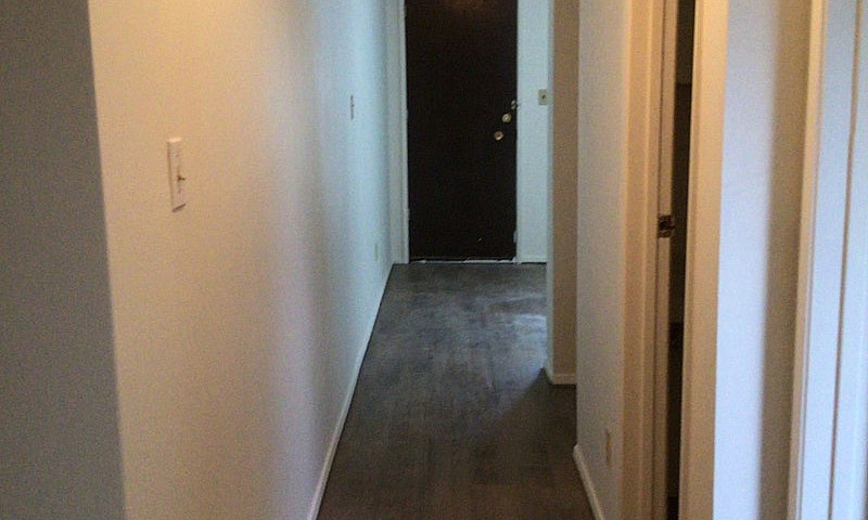 1Br 1Ba In Rosemont ...