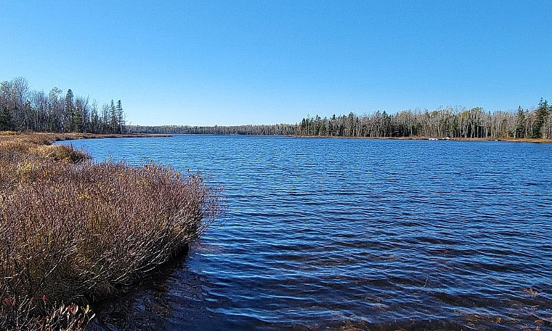 3.9 Acre Mattatall L...