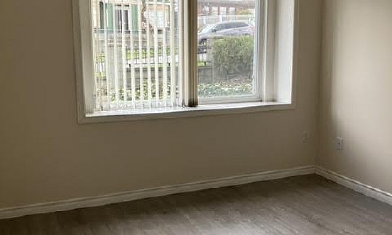Bright 1 Bedroom Gar...