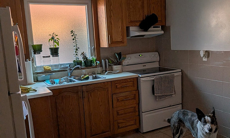 3 Bedroom 1 Bath Nee...
