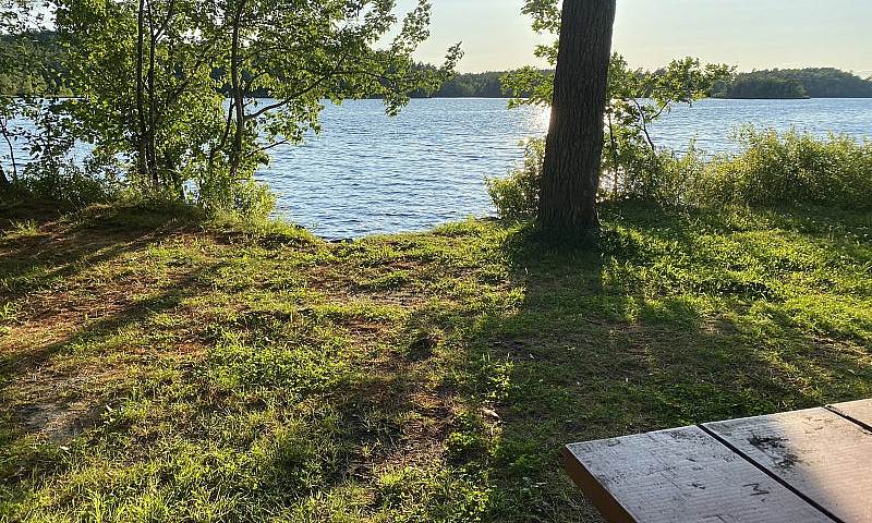 Looking For Land, Re...