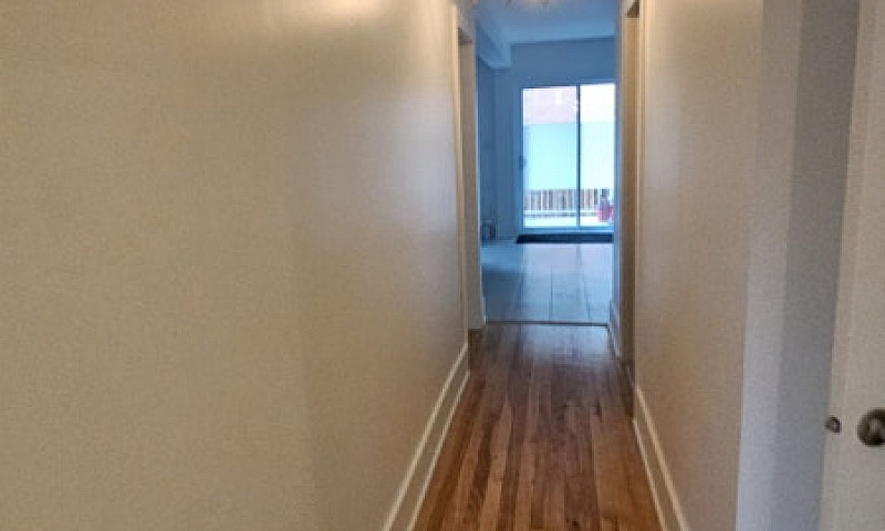 Appartement 4 1/2 + ...