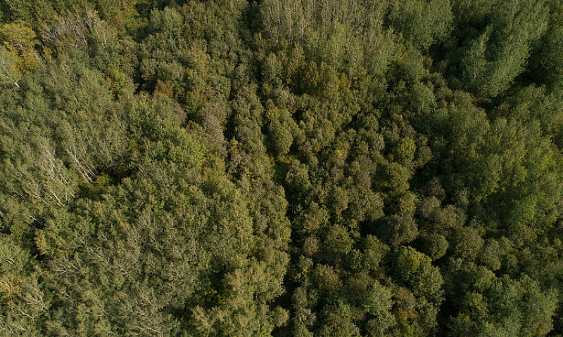 43 Acre Lakefront Pr...
