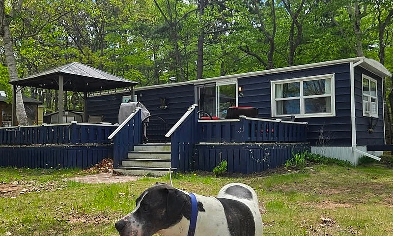 Cottage For Sale...