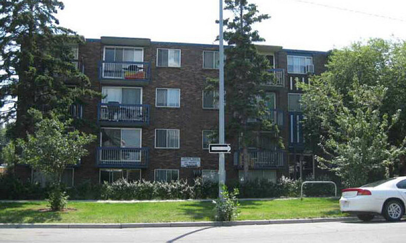 Renovated 1Br End Un...