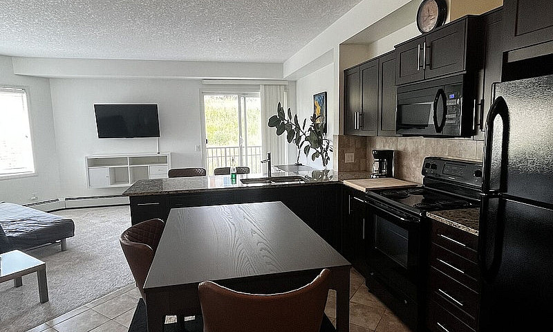 Fully Furnished Apar...