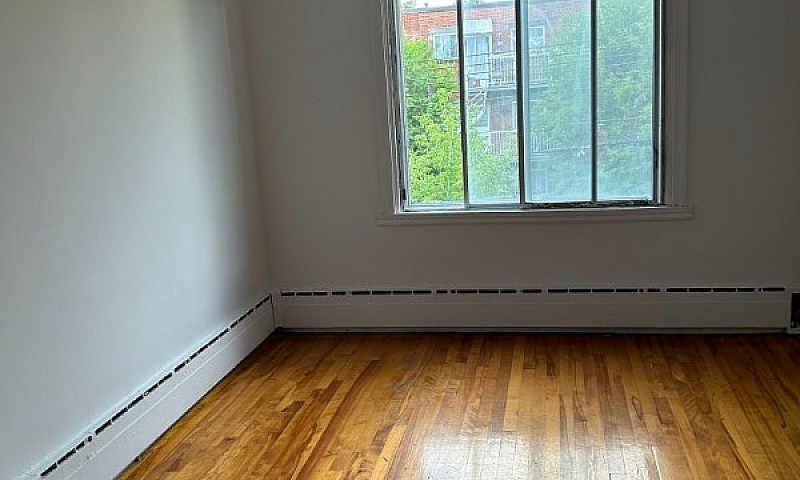 Grand Appartement 4 ...