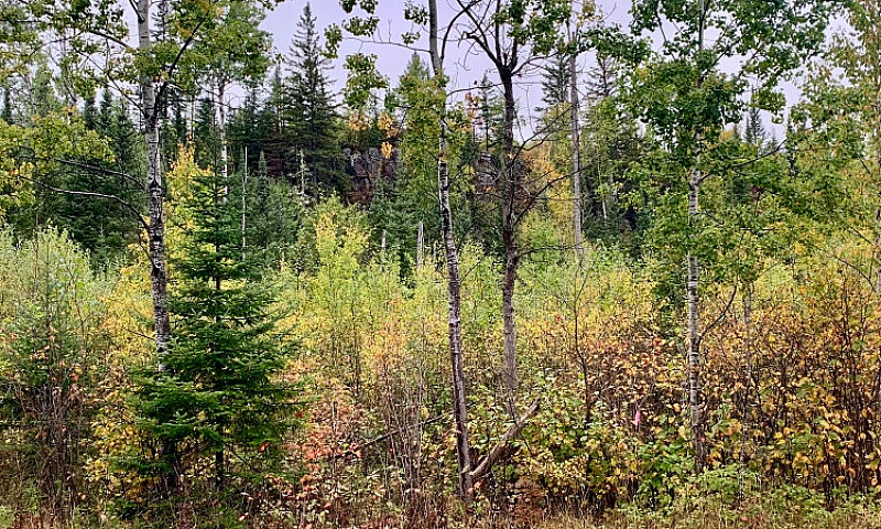  30 Acres For Sale –...
