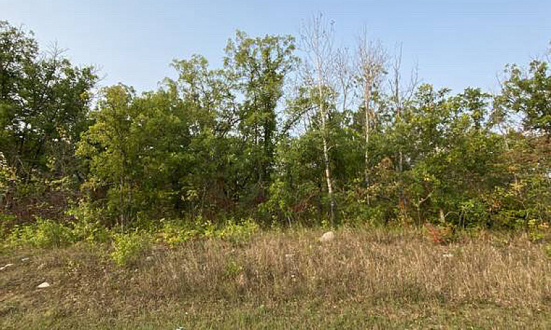 16 Lakespeak Cres, H...