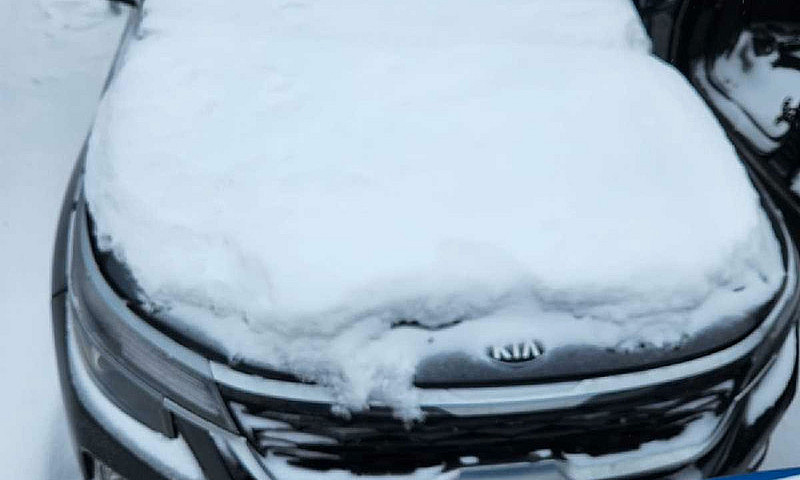 Kia Seltos...