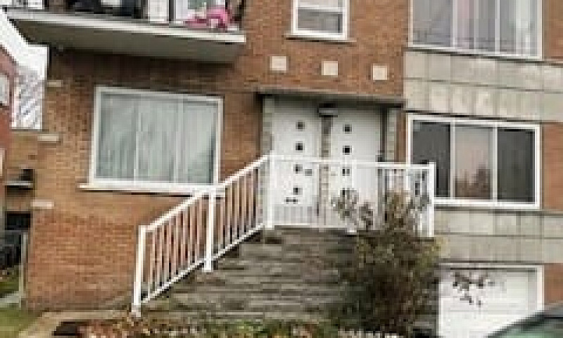 6 1/2 Upper Duplex F...