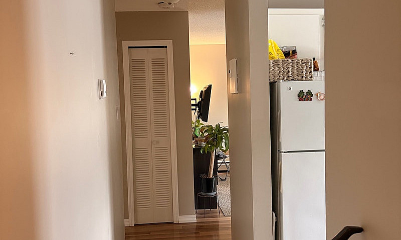  Fully Furnished 1-B...