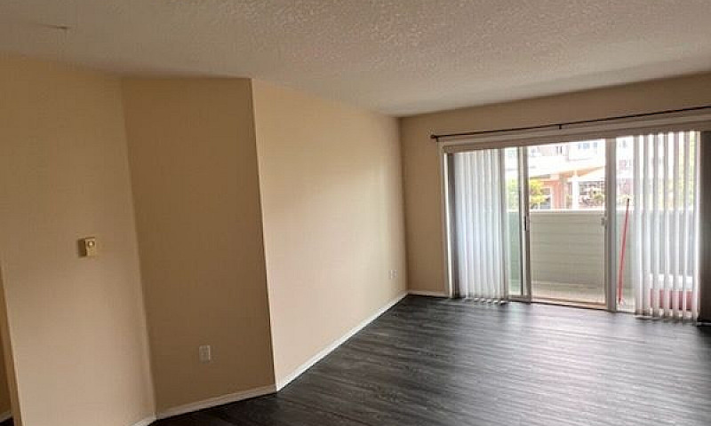 1 Bedroom Apartment ...