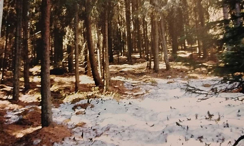 Land For Sale ...