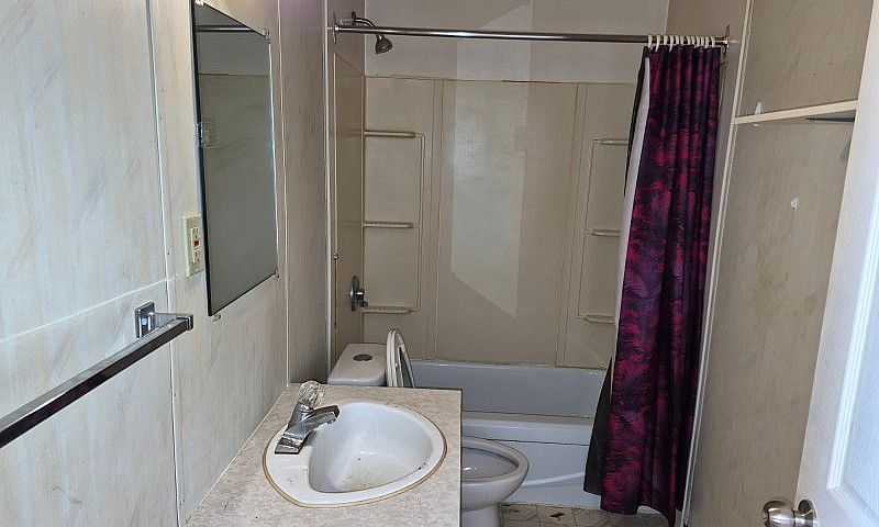 Furnished Bachelor- ...