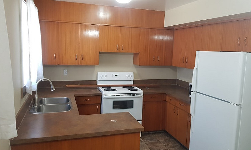 2 Bedroom Basement S...
