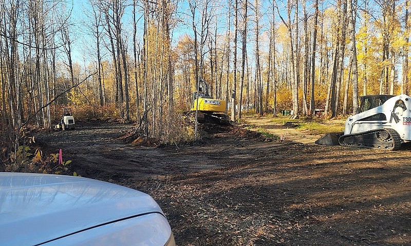 Slave Lake Spruce Po...