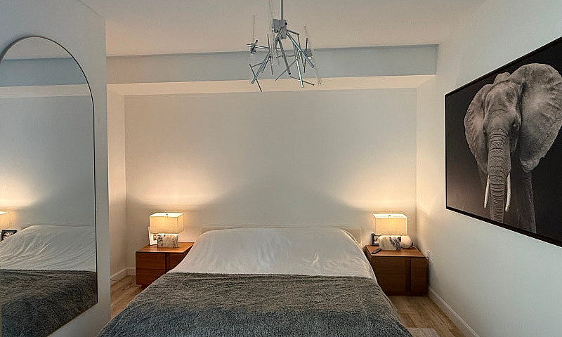 Fully Furnished Luxu...