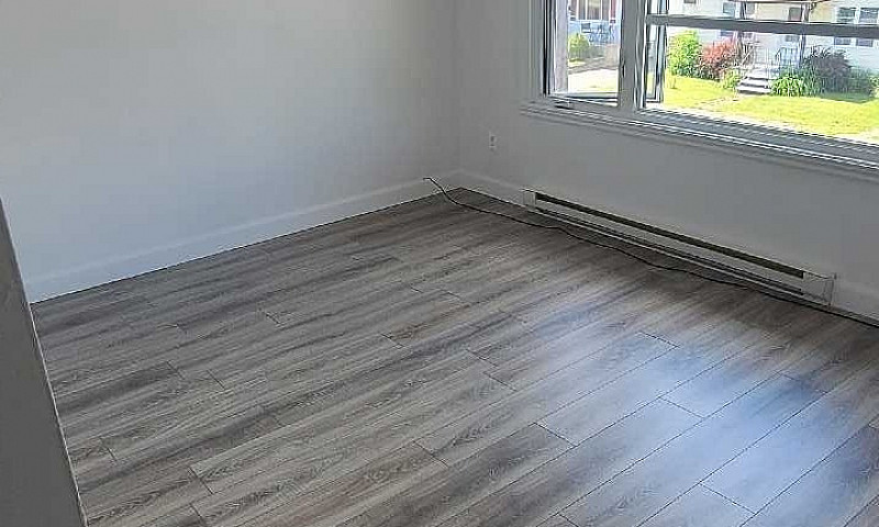 Renovated 4 1/2 Apar...