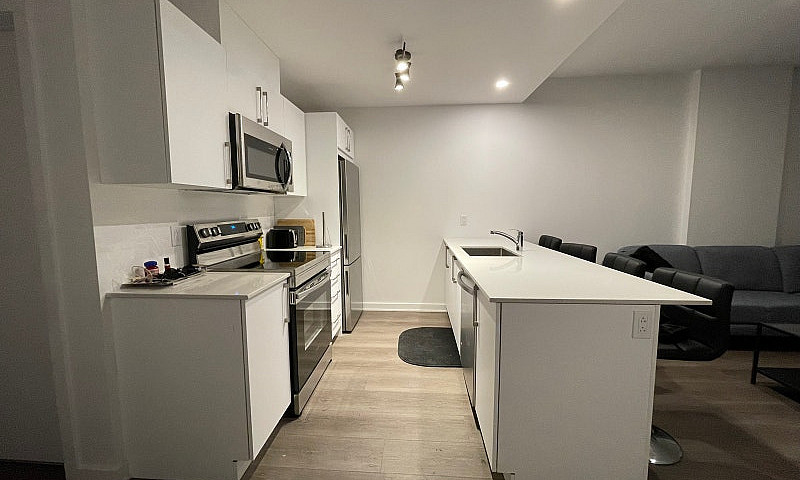 Luxury 1-Bedroom Apa...