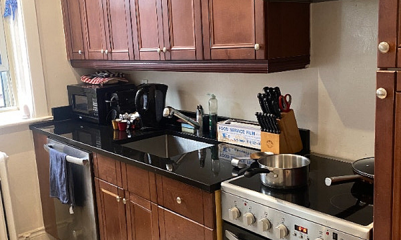 Renovated 4 1/2 In B...
