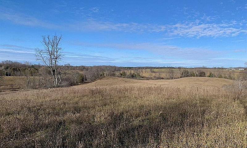 60 Acres Of Vacant L...
