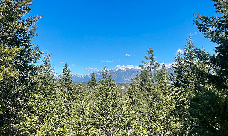  For Sale – 9.5 Acre...