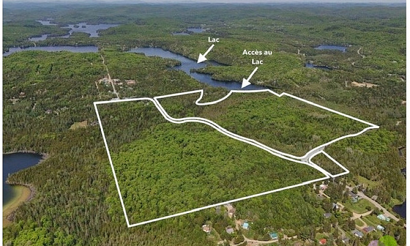 (Rare ) 150 Acres Wi...