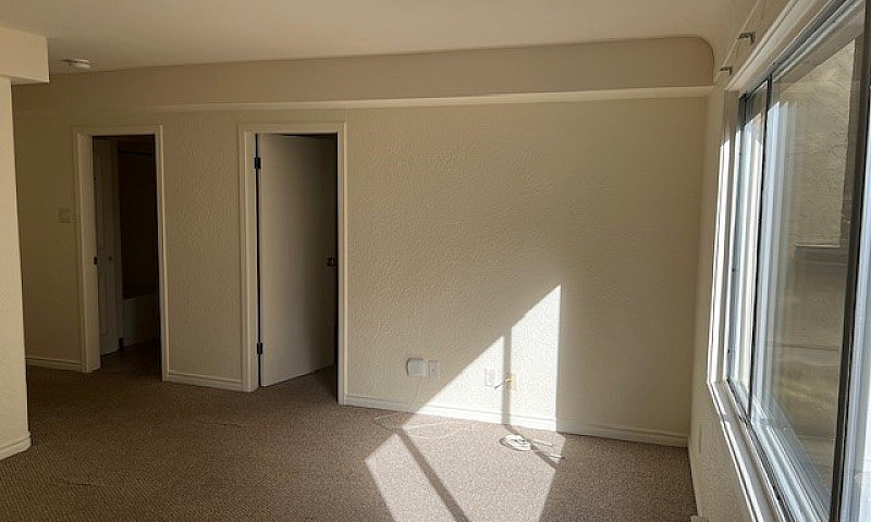 1 Bedroom Suite In O...